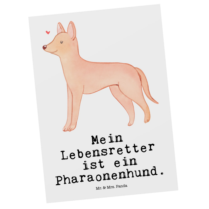 Postkarte Pharaonenhund Lebensretter