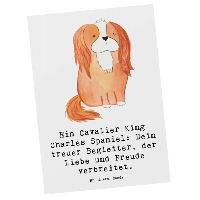 Postcard Ein Cavalier King Charles Spaniel: Dein treuer Begleiter, der Liebe und Freude verbreitet.