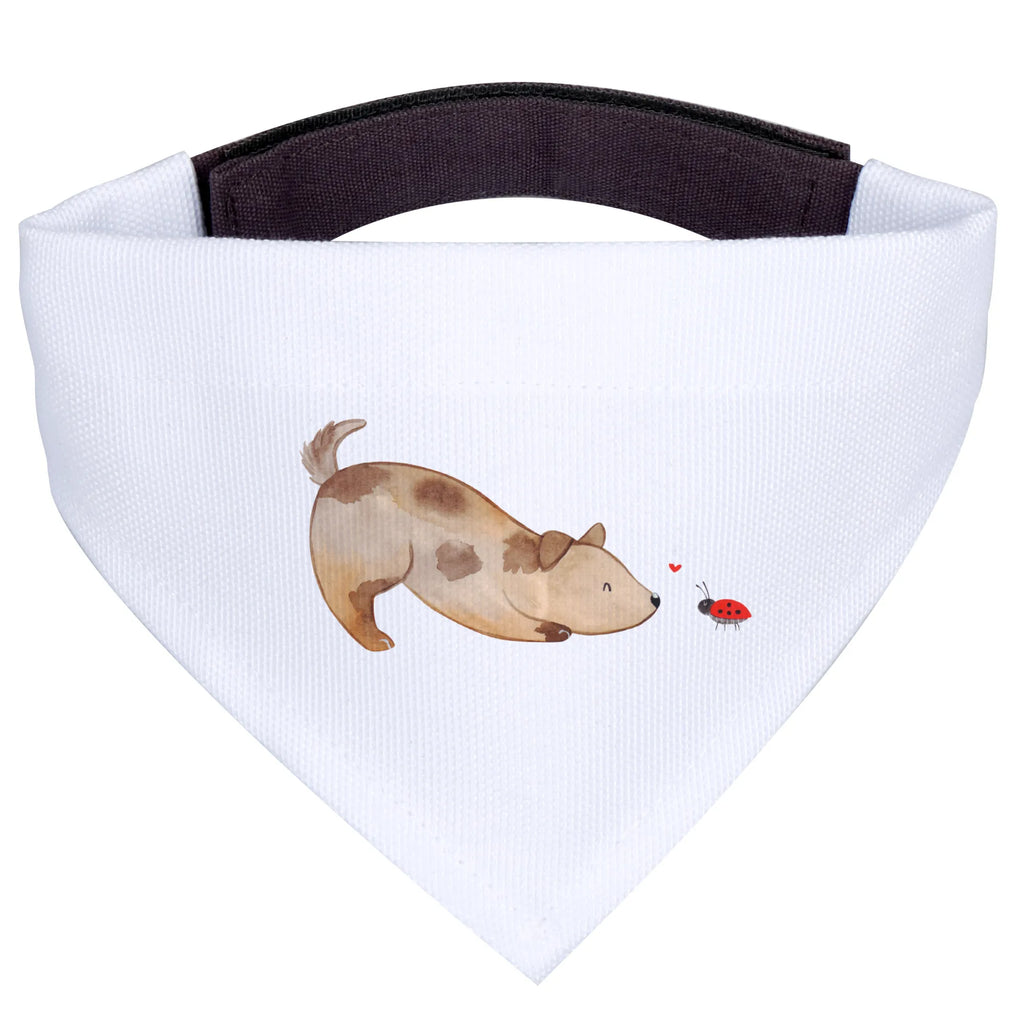 Hundehalstuch Hund Marienkäfer Halstuch Für Kleine Hunde, Hundeschal Bandana, Haustierhalstuch, Hundehalsbändchentuch, Tuch Für Hundehals, Halstuch Für Große Hunde, Hundehalstuch, Bandana, Hundetuch Klassisch, Hundehalstuch Designer, Hundehalstuch Waschbar, Hundehalstuch Für Spaziergang., Halstuch Für Welpen, Bandana Für Kleine Rassen, Halstuch Für Hunde, Bandana Für Hunde, Hundeaccessoire Tuch, Hundetuch Mit Muster, Hundehalstuch Geschenkidee, Hunde-Kopftuch (Varianten), Hundehalstuch Aus Baumwolle, Hundeschal Modern, Bandana Für Welpen, Schal Für Hunde, Halsbandtuch Für Hunde, Hundeschal, Hundehalstuch Aus Polyester, Bandana Für Große Rassen, Hunde-Bandana, Halstuch Hund, Hundetuch, Hunde-Neckerchief, Hundehalstuch Witterungsbeständig, Hundebandana, Hundemotiv, Haustier, Hundebesitzer, Sprüche, Hunderasse, Tierliebhaber, Hund, Mischling, Marienkäfer, Mischlinghund, Hundespruch, Hunde