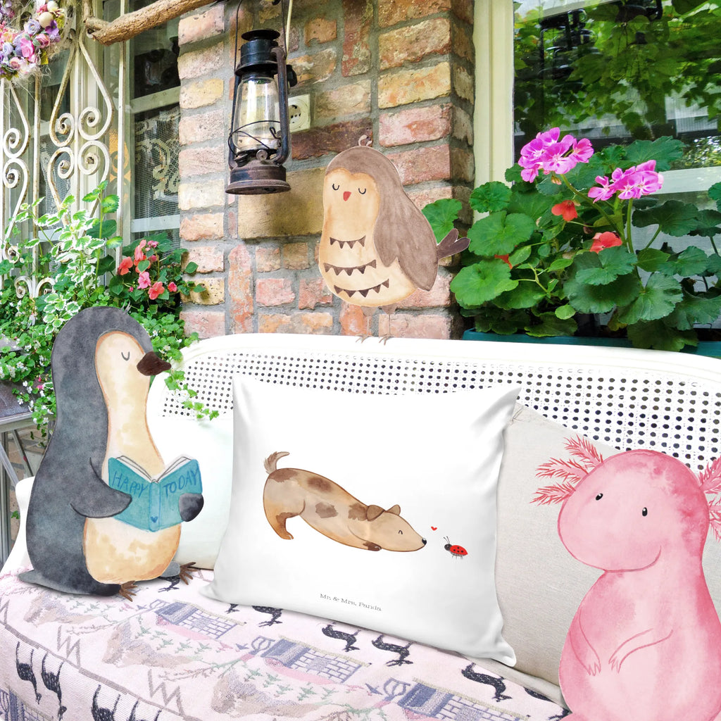 40x40 Kissen Hund Marienkäfer microfaser dekokissen, Zierkissen, microfaser kopfkissen, kuschel kissen, 40x40 kissen, wurfkissen, Kopfkissen, kissen 40 x 40, Mikrofaser Kissen, zierkissen 40x40, Motivkissen, Couchkissen, Kissen, Sofakissen 40x40, microfaser sofakissen, kissen für sofa, Dekokissen Sofa, deko kissen, Kopfkissen 40x40, zier kissen, microfaser zierkissen, couchkissen 40x40, Kuschelkissen, kissen mikrofaser, wohnzimmer kissen, kissen für couch, Sofakissen, Polsterkissen, Kissen 40x40, sofa kissen, couch kissen, Dekokissen, 40 X 40 Kissen, kuschelkissen 40x40, Dekokissen 40x40, Hunderasse, Hundebesitzer, Sprüche, Hundemotiv, Haustier, Tierliebhaber, Hund, Hunde, Hundespruch, Marienkäfer, Mischlinghund, Mischling