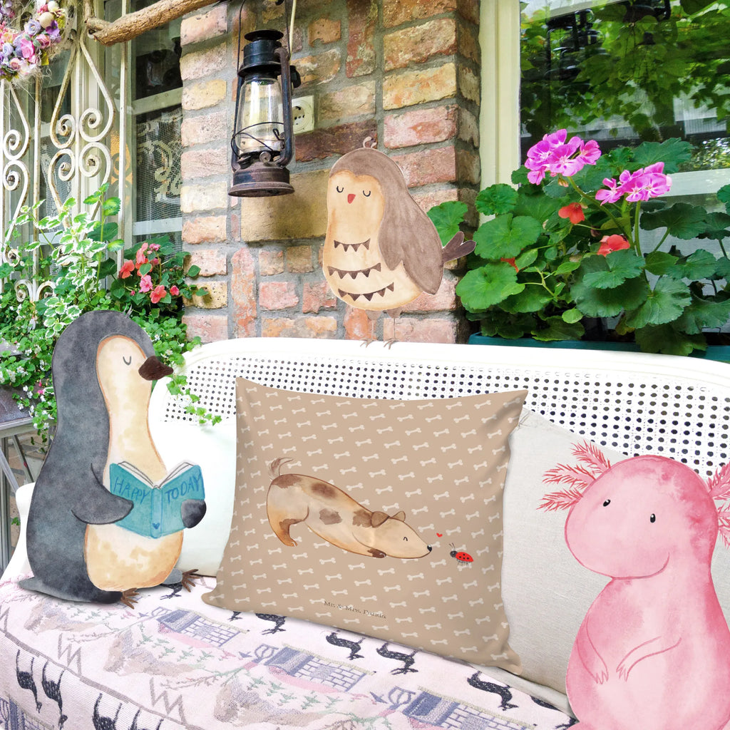 40x40 Kissen Hund Marienkäfer microfaser dekokissen, Zierkissen, microfaser kopfkissen, kuschel kissen, 40x40 kissen, wurfkissen, Kopfkissen, kissen 40 x 40, Mikrofaser Kissen, zierkissen 40x40, Motivkissen, Couchkissen, Kissen, Sofakissen 40x40, microfaser sofakissen, kissen für sofa, Dekokissen Sofa, deko kissen, Kopfkissen 40x40, zier kissen, microfaser zierkissen, couchkissen 40x40, Kuschelkissen, kissen mikrofaser, wohnzimmer kissen, kissen für couch, Sofakissen, Polsterkissen, Kissen 40x40, sofa kissen, couch kissen, Dekokissen, 40 X 40 Kissen, kuschelkissen 40x40, Dekokissen 40x40, Hunderasse, Hundebesitzer, Sprüche, Hundemotiv, Haustier, Tierliebhaber, Hund, Hunde, Hundespruch, Marienkäfer, Mischlinghund, Mischling