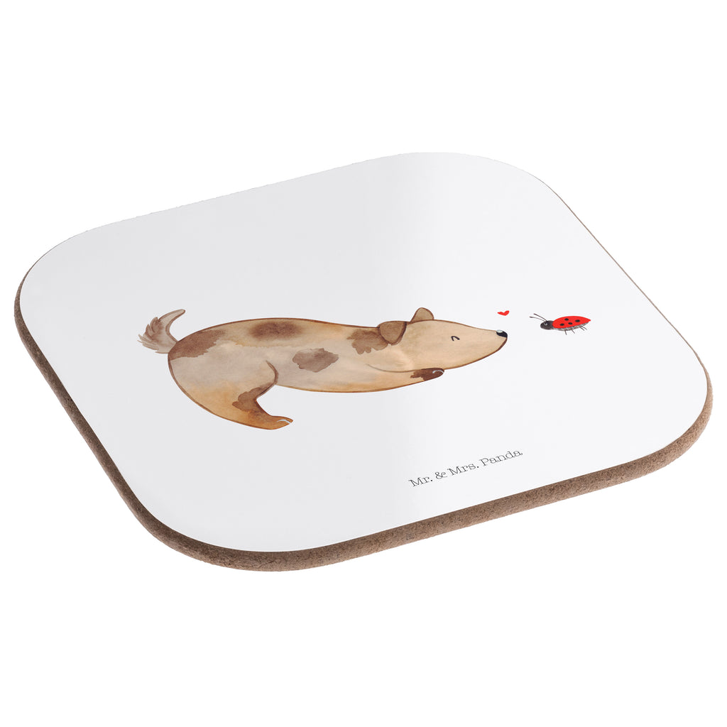 Quadratische Untersetzer Hund Marienkäfer Glasuntersetzer, Untersetzer aus Holz, Tassen Untersetzer, Korkuntersetzer, Untersetzer, Untersetzer Gläser, Holzuntersetzer, Bierdeckel, Getränkeuntersetzer, Untersetzer für Gläser, Untersetzer Holz, Untersetzer Design, Hund, Hundemotiv, Haustier, Hunderasse, Tierliebhaber, Hundebesitzer, Sprüche, Mischling, Hundespruch, Marienkäfer, Hunde, Mischlinghund