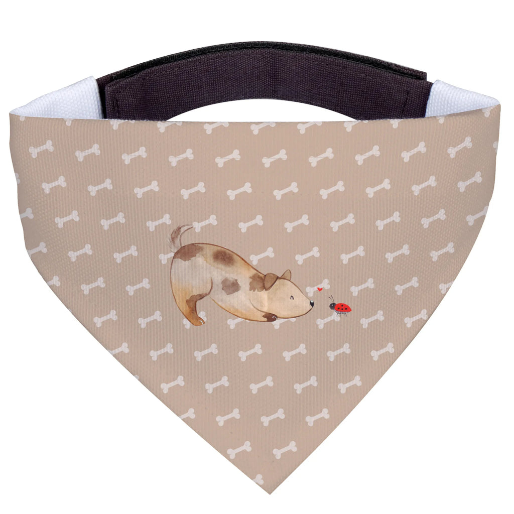 Hundehalstuch Hund Marienkäfer Halstuch Für Kleine Hunde, Hundeschal Bandana, Haustierhalstuch, Hundehalsbändchentuch, Tuch Für Hundehals, Halstuch Für Große Hunde, Hundehalstuch, Bandana, Hundetuch Klassisch, Hundehalstuch Designer, Hundehalstuch Waschbar, Hundehalstuch Für Spaziergang., Halstuch Für Welpen, Bandana Für Kleine Rassen, Halstuch Für Hunde, Bandana Für Hunde, Hundeaccessoire Tuch, Hundetuch Mit Muster, Hundehalstuch Geschenkidee, Hunde-Kopftuch (Varianten), Hundehalstuch Aus Baumwolle, Hundeschal Modern, Bandana Für Welpen, Schal Für Hunde, Halsbandtuch Für Hunde, Hundeschal, Hundehalstuch Aus Polyester, Bandana Für Große Rassen, Hunde-Bandana, Halstuch Hund, Hundetuch, Hunde-Neckerchief, Hundehalstuch Witterungsbeständig, Hundebandana, Hundemotiv, Haustier, Hundebesitzer, Sprüche, Hunderasse, Tierliebhaber, Hund, Mischling, Marienkäfer, Mischlinghund, Hundespruch, Hunde