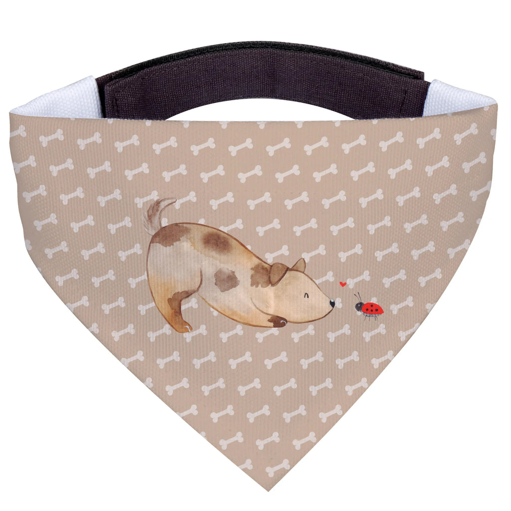 Hundehalstuch Hund Marienkäfer Halstuch Für Kleine Hunde, Hundeschal Bandana, Haustierhalstuch, Hundehalsbändchentuch, Tuch Für Hundehals, Halstuch Für Große Hunde, Hundehalstuch, Bandana, Hundetuch Klassisch, Hundehalstuch Designer, Hundehalstuch Waschbar, Hundehalstuch Für Spaziergang., Halstuch Für Welpen, Bandana Für Kleine Rassen, Halstuch Für Hunde, Bandana Für Hunde, Hundeaccessoire Tuch, Hundetuch Mit Muster, Hundehalstuch Geschenkidee, Hunde-Kopftuch (Varianten), Hundehalstuch Aus Baumwolle, Hundeschal Modern, Bandana Für Welpen, Schal Für Hunde, Halsbandtuch Für Hunde, Hundeschal, Hundehalstuch Aus Polyester, Bandana Für Große Rassen, Hunde-Bandana, Halstuch Hund, Hundetuch, Hunde-Neckerchief, Hundehalstuch Witterungsbeständig, Hundebandana, Hundemotiv, Haustier, Hundebesitzer, Sprüche, Hunderasse, Tierliebhaber, Hund, Mischling, Marienkäfer, Mischlinghund, Hundespruch, Hunde