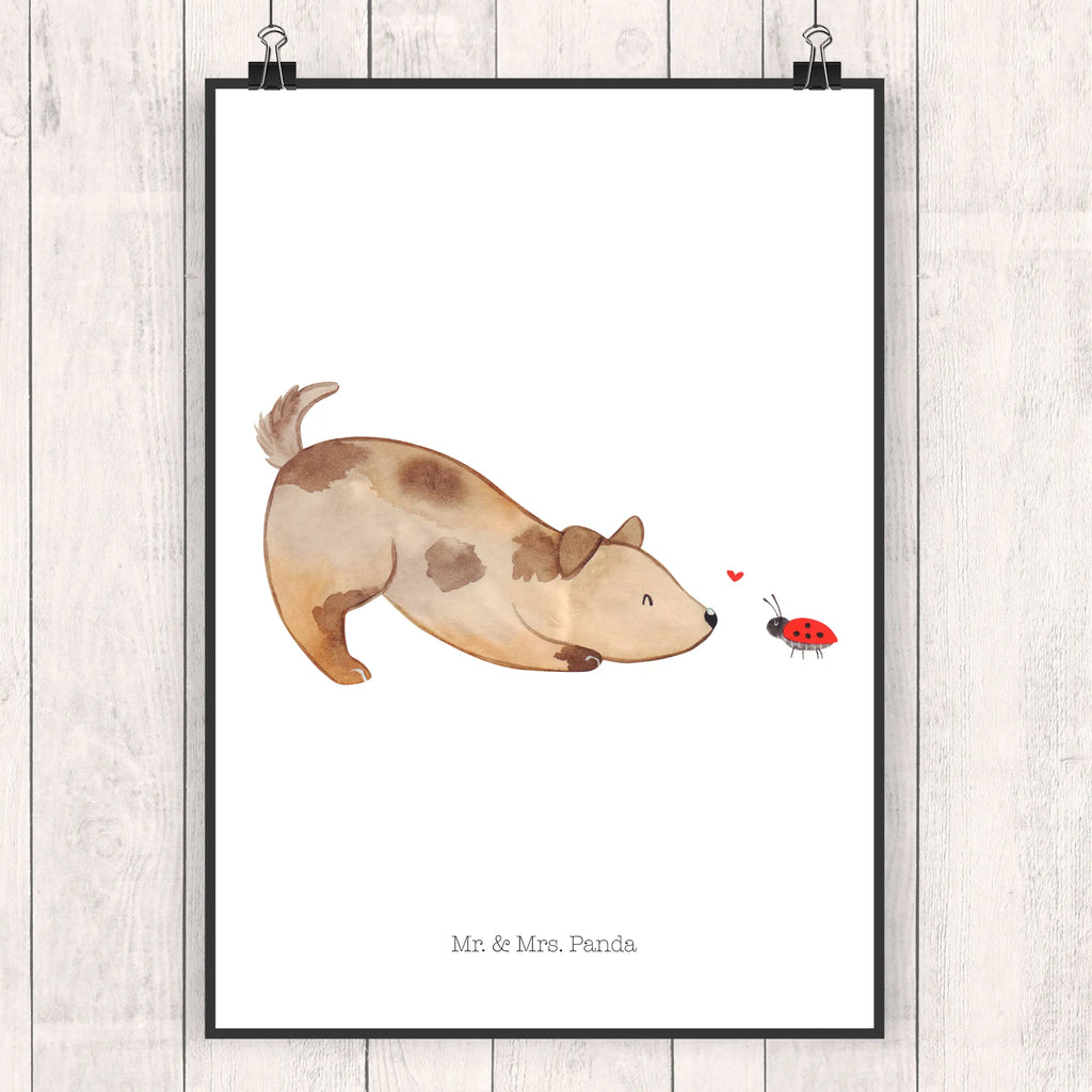 Poster Hund Marienkäfer Kunstdruck, Mr. & Mrs. Panda Poster, Bild für Wand, Wandposter, grafikposter, Wanddekoration, Bild, kunstposter, Poster, Deko Bild, wanddeko, kunstdruck poster, Wandschmuck, Posterdruck, wanddruck, kunst für die wand, drucke, Plakat, Wandbild, Designposter, wandkunst, Wanddeko Bild, Tierliebhaber, Haustier, Hundemotiv, Hundebesitzer, Hunderasse, Hund, Sprüche, Mischling, Hundespruch, Hunde, Marienkäfer, Mischlinghund