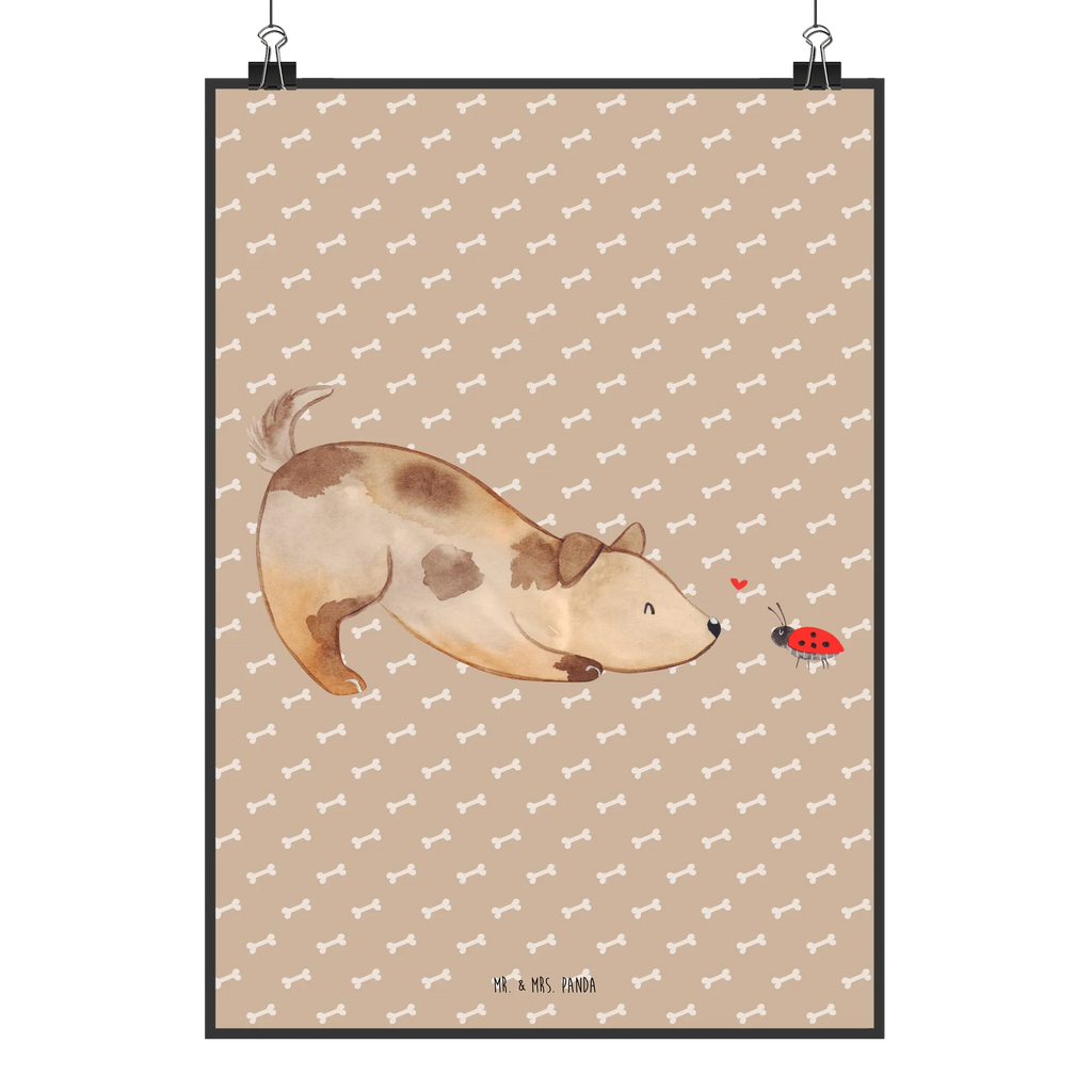 Poster Hund Marienkäfer Kunstdruck, Mr. & Mrs. Panda Poster, Bild für Wand, Wandposter, grafikposter, Wanddekoration, Bild, kunstposter, Poster, Deko Bild, wanddeko, kunstdruck poster, Wandschmuck, Posterdruck, wanddruck, kunst für die wand, drucke, Plakat, Wandbild, Designposter, wandkunst, Wanddeko Bild, Tierliebhaber, Haustier, Hundemotiv, Hundebesitzer, Hunderasse, Hund, Sprüche, Mischling, Hundespruch, Hunde, Marienkäfer, Mischlinghund