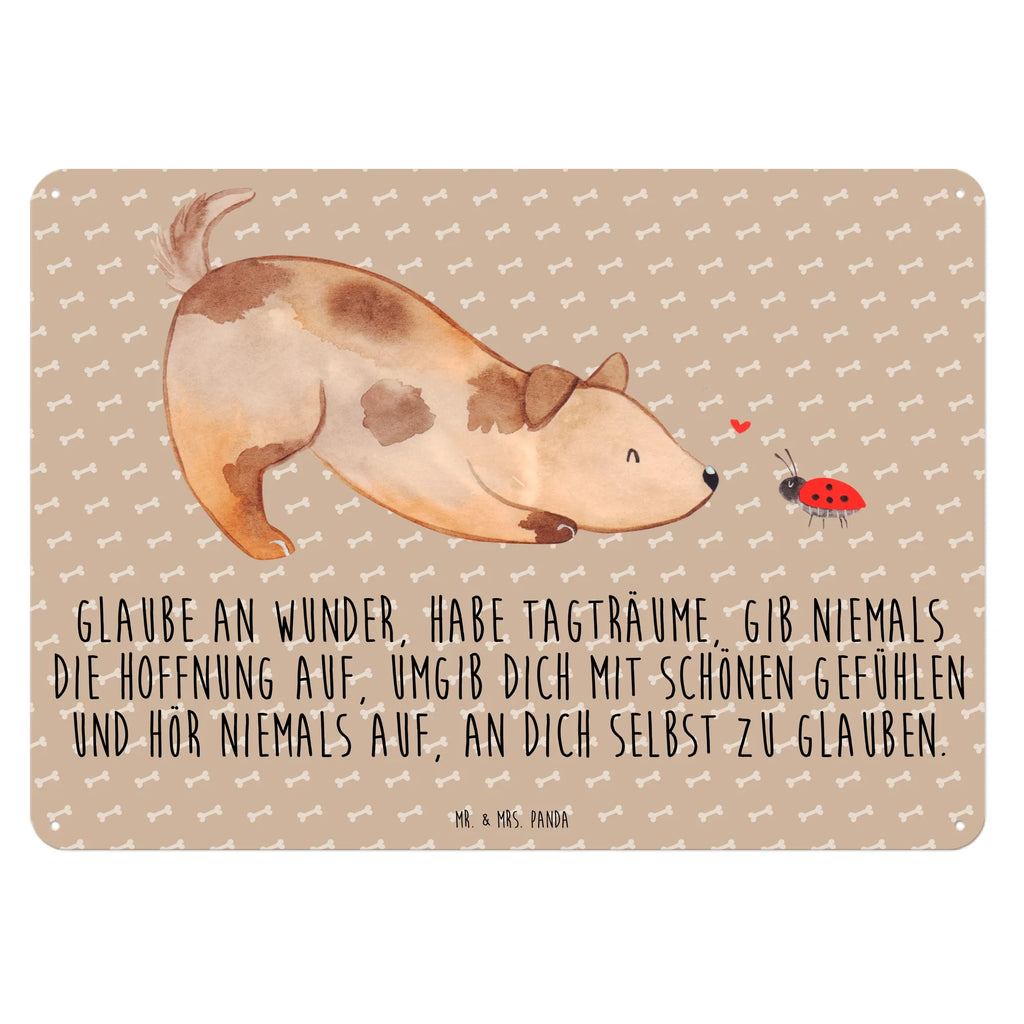 Blechschild Hund Marienkäfer Blechschild Küche, Dekoschild Metall, Blechschild Groß, Wandschild Metall, Blechschild Zum Aufhängen, Blechschild Für Frauen, Blechschild Für Männer, Türschild Metall, Blechschild Büro, Blechschild, Hunderasse, Hundebesitzer, Hund, Haustier, Sprüche, Tierliebhaber, Hundemotiv, Hundespruch, Mischling, Mischlinghund, Marienkäfer, Hunde