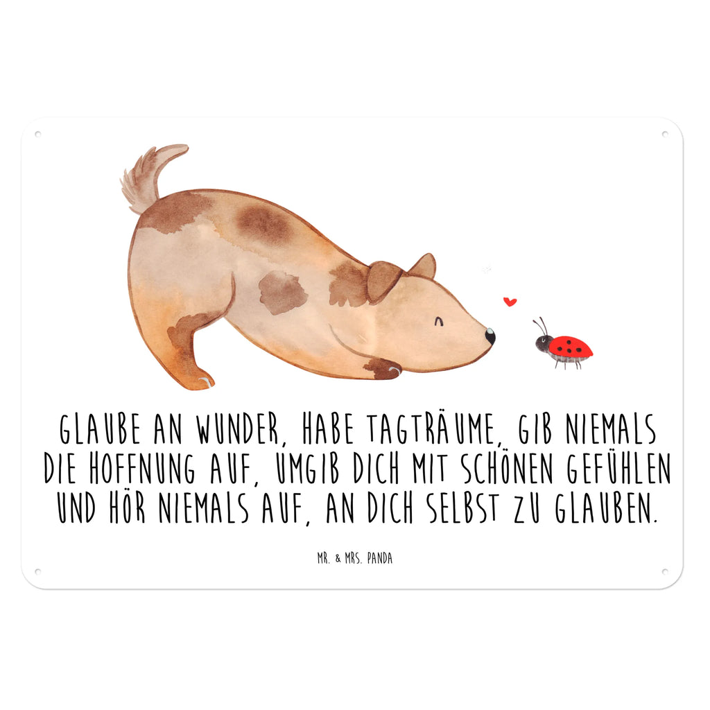 Blechschild Hund Marienkäfer Blechschild Küche, Dekoschild Metall, Blechschild Groß, Wandschild Metall, Blechschild Zum Aufhängen, Blechschild Für Frauen, Blechschild Für Männer, Türschild Metall, Blechschild Büro, Blechschild, Hunderasse, Hundebesitzer, Hund, Haustier, Sprüche, Tierliebhaber, Hundemotiv, Hundespruch, Mischling, Mischlinghund, Marienkäfer, Hunde