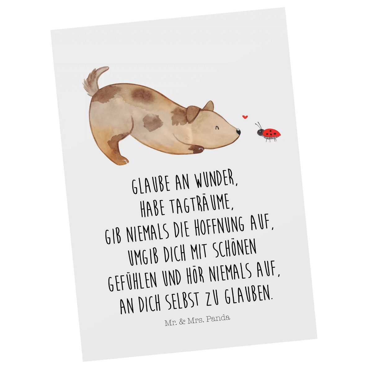 Postkarte Hund Marienkäfer Ansichtskarte, Kunstkarten, Designkarte, Fotokarte, einzelkarte, Grußkarte, Motivkarte, Ansichtskarten, kunstkarte, spruchkarte, bildkarte, Postkarte, Postkarten, Hundebesitzer, Hundemotiv, Hunderasse, Haustier, Tierliebhaber, Sprüche, Hund, Marienkäfer, Mischlinghund, Hundespruch, Hunde, Mischling