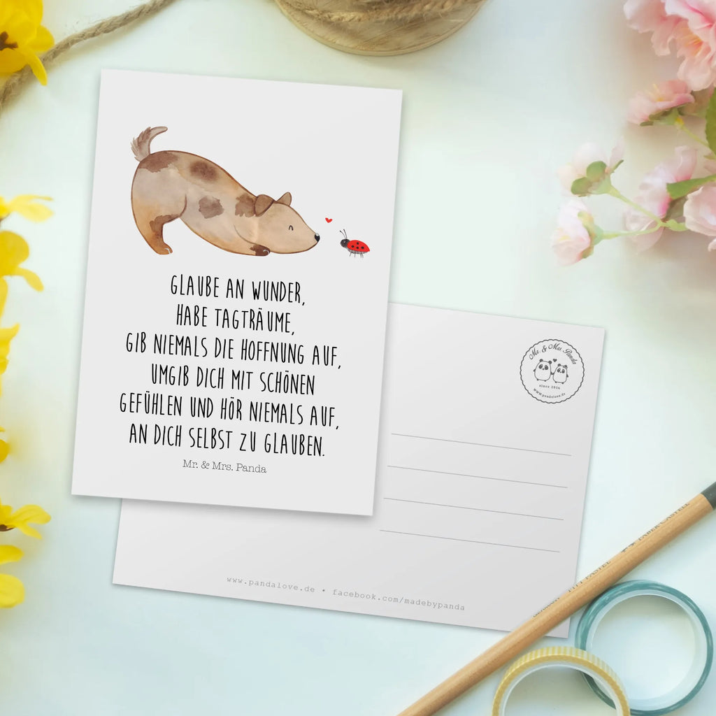 Postcard Dog ladybug Einladung Geburtstag, Einladung, Karte, Ansichtskarte, Postkarte, Geburtstagskarte, Geschenkkarte, Einladungskarte, Einladungskarten Geburtstag, Ansichtskarten, Grußkarte, Dankeskarte, Hund, Hundemotiv, Haustier, Hunderasse, Tierliebhaber, Hundebesitzer, Sprüche, Mischling, Hundespruch, Hunde, Marienkäfer, Mischlinghund