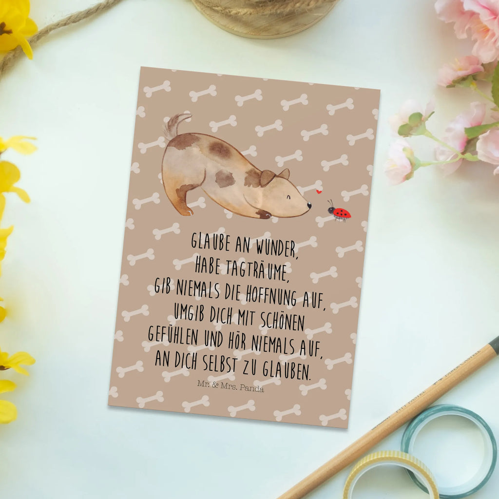 Postcard Dog ladybug Einladung Geburtstag, Einladung, Karte, Ansichtskarte, Postkarte, Geburtstagskarte, Geschenkkarte, Einladungskarte, Einladungskarten Geburtstag, Ansichtskarten, Grußkarte, Dankeskarte, Hund, Hundemotiv, Haustier, Hunderasse, Tierliebhaber, Hundebesitzer, Sprüche, Mischling, Hundespruch, Hunde, Marienkäfer, Mischlinghund