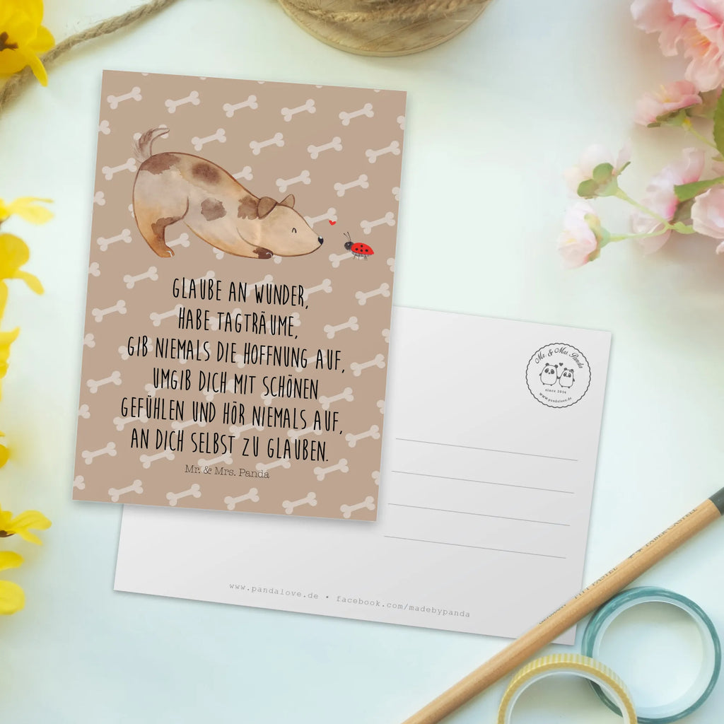 Postcard Dog ladybug Einladung Geburtstag, Einladung, Karte, Ansichtskarte, Postkarte, Geburtstagskarte, Geschenkkarte, Einladungskarte, Einladungskarten Geburtstag, Ansichtskarten, Grußkarte, Dankeskarte, Hund, Hundemotiv, Haustier, Hunderasse, Tierliebhaber, Hundebesitzer, Sprüche, Mischling, Hundespruch, Hunde, Marienkäfer, Mischlinghund