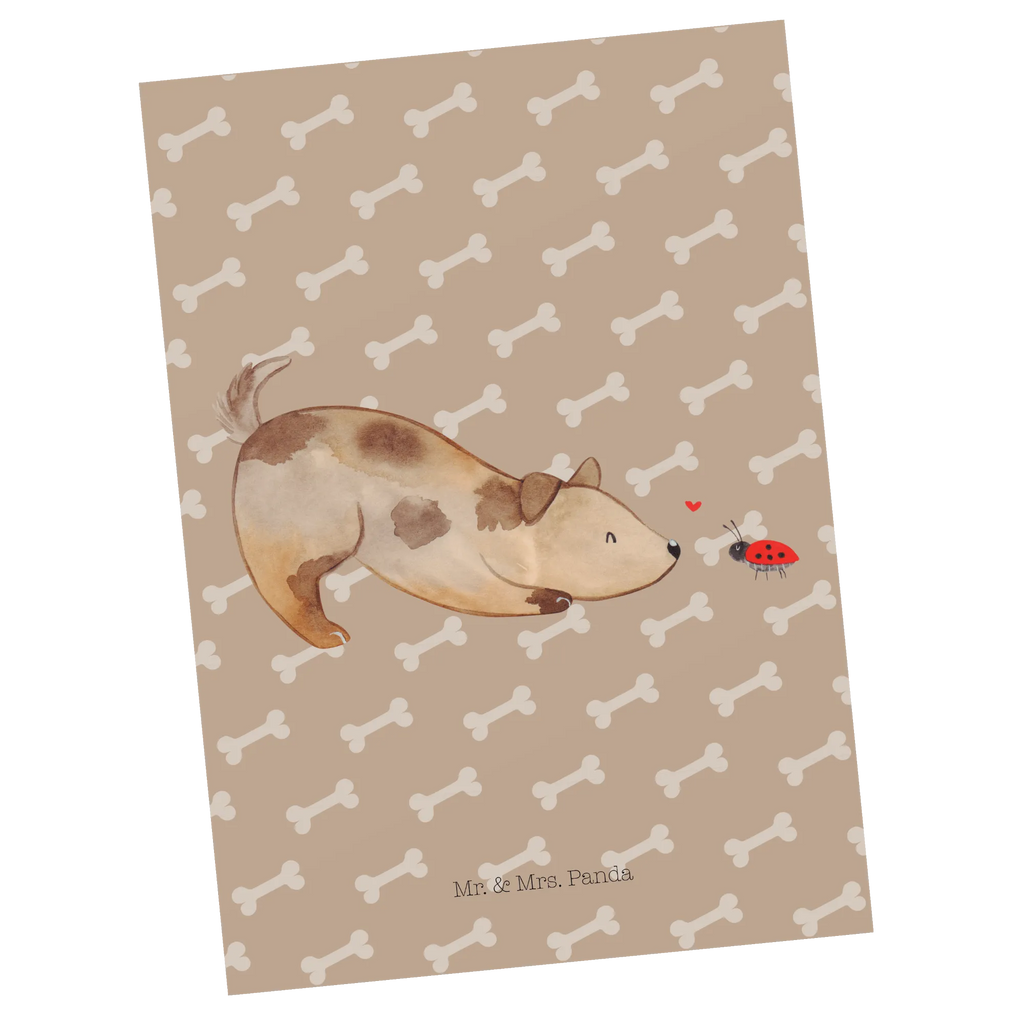 Postcard Dog ladybug Einladung Geburtstag, Einladung, Karte, Ansichtskarte, Postkarte, Geburtstagskarte, Geschenkkarte, Einladungskarte, Einladungskarten Geburtstag, Ansichtskarten, Grußkarte, Dankeskarte, Hund, Hundemotiv, Haustier, Hunderasse, Tierliebhaber, Hundebesitzer, Sprüche, Mischling, Hundespruch, Hunde, Marienkäfer, Mischlinghund