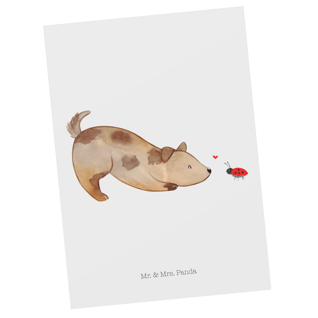 Postcard Dog ladybug Einladung Geburtstag, Einladung, Karte, Ansichtskarte, Postkarte, Geburtstagskarte, Geschenkkarte, Einladungskarte, Einladungskarten Geburtstag, Ansichtskarten, Grußkarte, Dankeskarte, Hund, Hundemotiv, Haustier, Hunderasse, Tierliebhaber, Hundebesitzer, Sprüche, Mischling, Hundespruch, Hunde, Marienkäfer, Mischlinghund