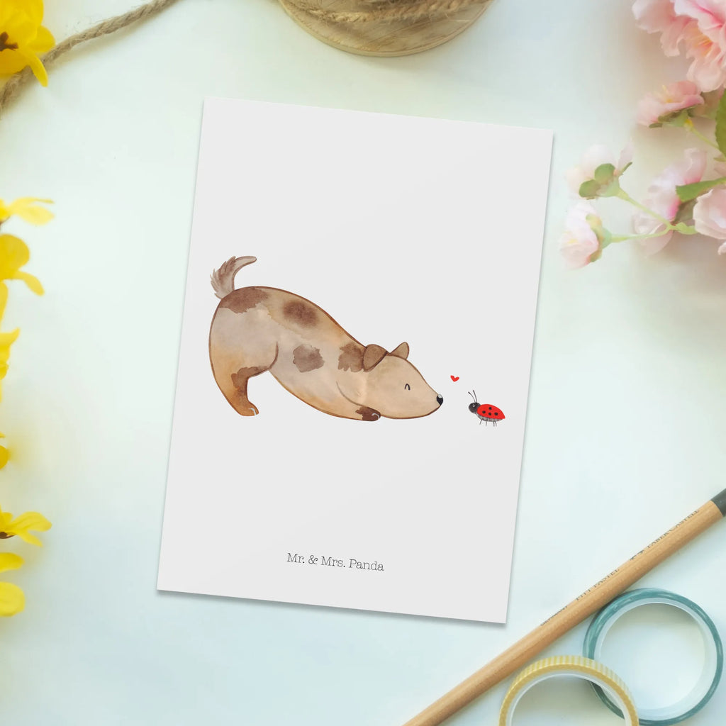 Postcard Dog ladybug Einladung Geburtstag, Einladung, Karte, Ansichtskarte, Postkarte, Geburtstagskarte, Geschenkkarte, Einladungskarte, Einladungskarten Geburtstag, Ansichtskarten, Grußkarte, Dankeskarte, Hund, Hundemotiv, Haustier, Hunderasse, Tierliebhaber, Hundebesitzer, Sprüche, Mischling, Hundespruch, Hunde, Marienkäfer, Mischlinghund