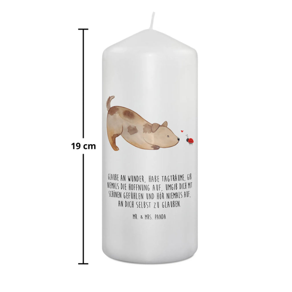 Candle Dog ladybug Osterkerze, Adventskerze, Bedruckte Kerze, Kerze Mit Spruch, Laternenkerze, Dekokerze, Wachskerze, Tafelkerze, Hochzeitskerze, Gartenkerze, Zylinderkerze, Weihnachtskerze, Handgemachte Kerze, Grosse Kerze, Erinnerungslicht, Kerze Mit Motiv, Stumpenkerze, Wunschkerze, Erinnerungskerze, Tischkerze, Geburtskerze, Dinnerkerze, Blockkerze, Kommunionskerze, Geburtstagskerze, Dekorative Kerze, Schmuckkerze, Sprüche, Hunderasse, Hundebesitzer, Hundemotiv, Hund, Haustier, Tierliebhaber, Marienkäfer, Mischlinghund, Mischling, Hundespruch, Hunde