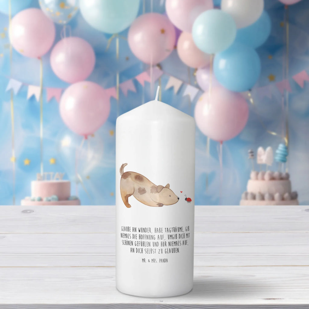 Candle Dog ladybug Osterkerze, Adventskerze, Bedruckte Kerze, Kerze Mit Spruch, Laternenkerze, Dekokerze, Wachskerze, Tafelkerze, Hochzeitskerze, Gartenkerze, Zylinderkerze, Weihnachtskerze, Handgemachte Kerze, Grosse Kerze, Erinnerungslicht, Kerze Mit Motiv, Stumpenkerze, Wunschkerze, Erinnerungskerze, Tischkerze, Geburtskerze, Dinnerkerze, Blockkerze, Kommunionskerze, Geburtstagskerze, Dekorative Kerze, Schmuckkerze, Sprüche, Hunderasse, Hundebesitzer, Hundemotiv, Hund, Haustier, Tierliebhaber, Marienkäfer, Mischlinghund, Mischling, Hundespruch, Hunde