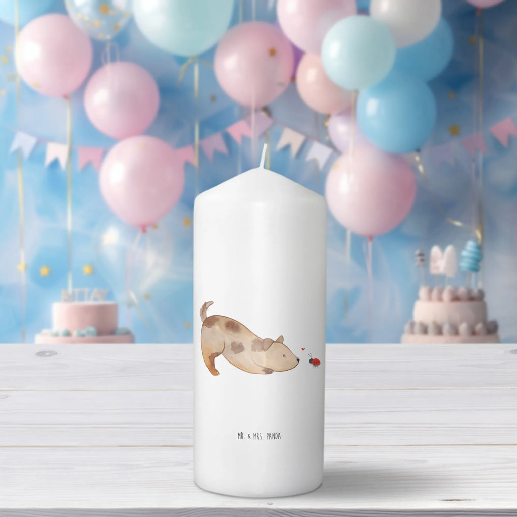 Candle Dog ladybug Osterkerze, Adventskerze, Bedruckte Kerze, Kerze Mit Spruch, Laternenkerze, Dekokerze, Wachskerze, Tafelkerze, Hochzeitskerze, Gartenkerze, Zylinderkerze, Weihnachtskerze, Handgemachte Kerze, Grosse Kerze, Erinnerungslicht, Kerze Mit Motiv, Stumpenkerze, Wunschkerze, Erinnerungskerze, Tischkerze, Geburtskerze, Dinnerkerze, Blockkerze, Kommunionskerze, Geburtstagskerze, Dekorative Kerze, Schmuckkerze, Sprüche, Hunderasse, Hundebesitzer, Hundemotiv, Hund, Haustier, Tierliebhaber, Marienkäfer, Mischlinghund, Mischling, Hundespruch, Hunde