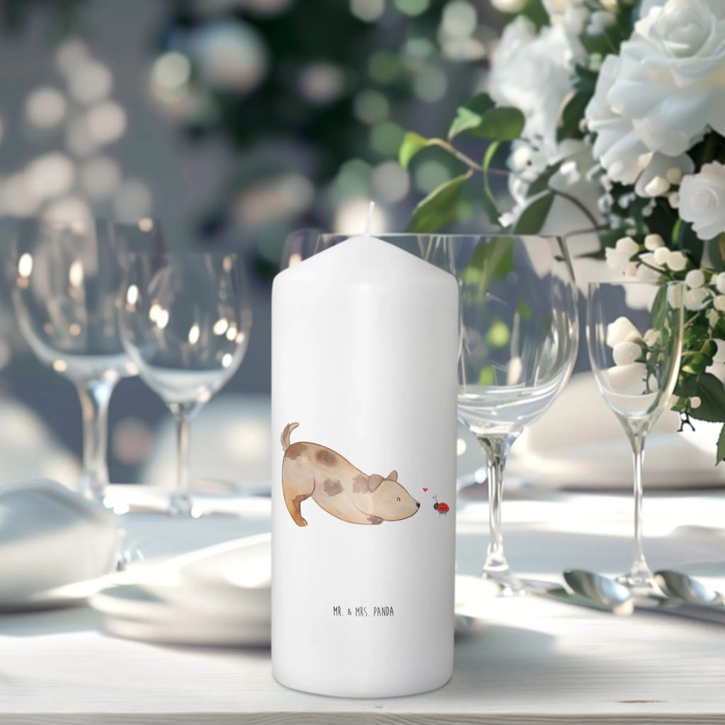 Candle Dog ladybug Osterkerze, Adventskerze, Bedruckte Kerze, Kerze Mit Spruch, Laternenkerze, Dekokerze, Wachskerze, Tafelkerze, Hochzeitskerze, Gartenkerze, Zylinderkerze, Weihnachtskerze, Handgemachte Kerze, Grosse Kerze, Erinnerungslicht, Kerze Mit Motiv, Stumpenkerze, Wunschkerze, Erinnerungskerze, Tischkerze, Geburtskerze, Dinnerkerze, Blockkerze, Kommunionskerze, Geburtstagskerze, Dekorative Kerze, Schmuckkerze, Sprüche, Hunderasse, Hundebesitzer, Hundemotiv, Hund, Haustier, Tierliebhaber, Marienkäfer, Mischlinghund, Mischling, Hundespruch, Hunde