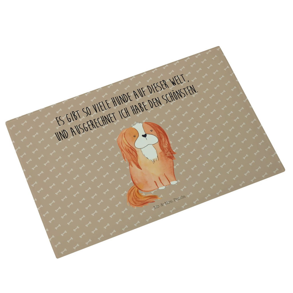 XL glass chopping board Dog Cavalier King Charles Spaniel Glasschneidebrett Für Haushalt, Glasschneidebrett Für Fleisch, Schneidebrett Aus Glas, Schneidebrett Modern, Schneidebrett Robust, Schneidebrett Aus Sicherheitsglas, Glasbrett Rund, Glasplatte Schneidebrett, Glas Schneidbrett, Schneidebrett Design Glas, Schneidebrett Glas Transparent, Schneidebrett Glas Motiv, Schneidebrett Transparent, Küchenzubehör Glas, Glasschneidebrett Für Gemüse, Küchenbrett Glas, Glasschneidebrett Hitzebeständig, Küchenhelfer Glas, Glasschneidebrett Rutschfest, Glas Schneideplatte, Schneidebrett Elegant, Schneidplatte Glas, Glasschneidebrett, Schneidebrett Hygienisch, Glasbrett Küche, Schneideunterlage Glas, Arbeitsplatte Glas, Glasschneidebrett Klein, Glasschneidebrett Groß, Küchenunterlage Glas, Schneidebrett Spülmaschinenfest, Glasschneidebrett Für Käse, Schneideplatte Für Küche, Glasschneidebrett Dekorativ, Glasbrett Rechteckig, Glas Küchenbrett, Glasschneideplatte Rutschfest, Hunderasse, Hundebesitzer, Sprüche, Hundemotiv, Haustier, Tierliebhaber, Hund, Schönster Hund, Spruch, Cavalier King Charles Spaniel, Cockerspaniel, Spaniel