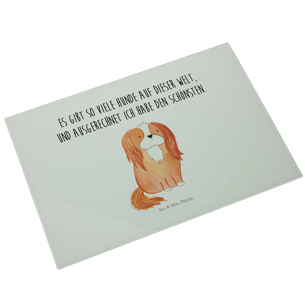 XL glass chopping board Dog Cavalier King Charles Spaniel Glasschneidebrett Für Haushalt, Glasschneidebrett Für Fleisch, Schneidebrett Aus Glas, Schneidebrett Modern, Schneidebrett Robust, Schneidebrett Aus Sicherheitsglas, Glasbrett Rund, Glasplatte Schneidebrett, Glas Schneidbrett, Schneidebrett Design Glas, Schneidebrett Glas Transparent, Schneidebrett Glas Motiv, Schneidebrett Transparent, Küchenzubehör Glas, Glasschneidebrett Für Gemüse, Küchenbrett Glas, Glasschneidebrett Hitzebeständig, Küchenhelfer Glas, Glasschneidebrett Rutschfest, Glas Schneideplatte, Schneidebrett Elegant, Schneidplatte Glas, Glasschneidebrett, Schneidebrett Hygienisch, Glasbrett Küche, Schneideunterlage Glas, Arbeitsplatte Glas, Glasschneidebrett Klein, Glasschneidebrett Groß, Küchenunterlage Glas, Schneidebrett Spülmaschinenfest, Glasschneidebrett Für Käse, Schneideplatte Für Küche, Glasschneidebrett Dekorativ, Glasbrett Rechteckig, Glas Küchenbrett, Glasschneideplatte Rutschfest, Hunderasse, Hundebesitzer, Sprüche, Hundemotiv, Haustier, Tierliebhaber, Hund, Schönster Hund, Spruch, Cavalier King Charles Spaniel, Cockerspaniel, Spaniel
