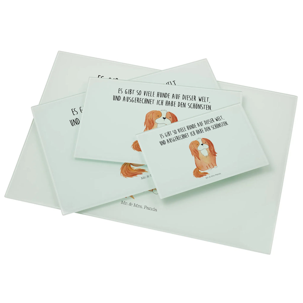 XL glass chopping board Dog Cavalier King Charles Spaniel Glasschneidebrett Für Haushalt, Glasschneidebrett Für Fleisch, Schneidebrett Aus Glas, Schneidebrett Modern, Schneidebrett Robust, Schneidebrett Aus Sicherheitsglas, Glasbrett Rund, Glasplatte Schneidebrett, Glas Schneidbrett, Schneidebrett Design Glas, Schneidebrett Glas Transparent, Schneidebrett Glas Motiv, Schneidebrett Transparent, Küchenzubehör Glas, Glasschneidebrett Für Gemüse, Küchenbrett Glas, Glasschneidebrett Hitzebeständig, Küchenhelfer Glas, Glasschneidebrett Rutschfest, Glas Schneideplatte, Schneidebrett Elegant, Schneidplatte Glas, Glasschneidebrett, Schneidebrett Hygienisch, Glasbrett Küche, Schneideunterlage Glas, Arbeitsplatte Glas, Glasschneidebrett Klein, Glasschneidebrett Groß, Küchenunterlage Glas, Schneidebrett Spülmaschinenfest, Glasschneidebrett Für Käse, Schneideplatte Für Küche, Glasschneidebrett Dekorativ, Glasbrett Rechteckig, Glas Küchenbrett, Glasschneideplatte Rutschfest, Hunderasse, Hundebesitzer, Sprüche, Hundemotiv, Haustier, Tierliebhaber, Hund, Schönster Hund, Spruch, Cavalier King Charles Spaniel, Cockerspaniel, Spaniel