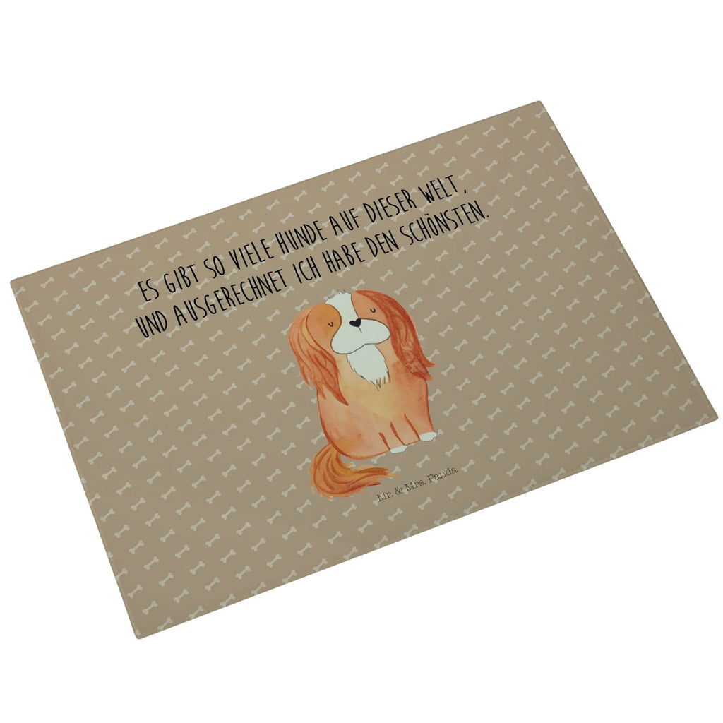 XL glass chopping board Dog Cavalier King Charles Spaniel Glasschneidebrett Für Haushalt, Glasschneidebrett Für Fleisch, Schneidebrett Aus Glas, Schneidebrett Modern, Schneidebrett Robust, Schneidebrett Aus Sicherheitsglas, Glasbrett Rund, Glasplatte Schneidebrett, Glas Schneidbrett, Schneidebrett Design Glas, Schneidebrett Glas Transparent, Schneidebrett Glas Motiv, Schneidebrett Transparent, Küchenzubehör Glas, Glasschneidebrett Für Gemüse, Küchenbrett Glas, Glasschneidebrett Hitzebeständig, Küchenhelfer Glas, Glasschneidebrett Rutschfest, Glas Schneideplatte, Schneidebrett Elegant, Schneidplatte Glas, Glasschneidebrett, Schneidebrett Hygienisch, Glasbrett Küche, Schneideunterlage Glas, Arbeitsplatte Glas, Glasschneidebrett Klein, Glasschneidebrett Groß, Küchenunterlage Glas, Schneidebrett Spülmaschinenfest, Glasschneidebrett Für Käse, Schneideplatte Für Küche, Glasschneidebrett Dekorativ, Glasbrett Rechteckig, Glas Küchenbrett, Glasschneideplatte Rutschfest, Hunderasse, Hundebesitzer, Sprüche, Hundemotiv, Haustier, Tierliebhaber, Hund, Schönster Hund, Spruch, Cavalier King Charles Spaniel, Cockerspaniel, Spaniel