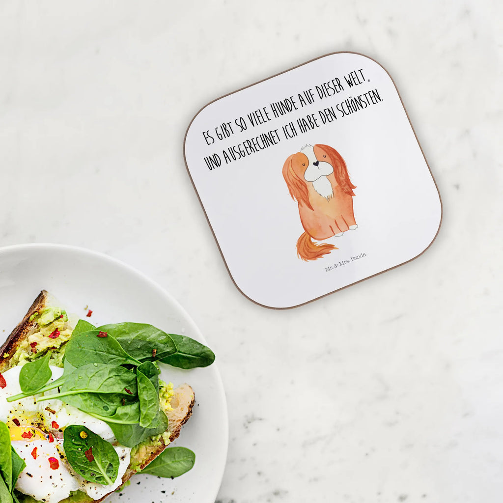 Square coaster Dog Cavalier King Charles Spaniel deko untersetzer, Tischuntersetzer, Holzuntersetzer, Untersetzer Kaffee, bieruntersetzer, Getränkeuntersetzer, Untersetzer, Becheruntersetzer, hartfaser untersetzer, Untersetzer Tasse, hartfaseruntersetzer, weinglasuntersetzer, esstisch untersetzer, Untersetzer Tee, gläseruntersetzer, unterleger, grill untersetzer, schutzuntersetzer, Teeuntersetzer, Coaster, Untersetzer Quadratisch, Untersetzer für Gläser, Glasuntersetzer, Tassenuntersetzer, Untersetzer Gläser, Kaffeeuntersetzer, eckiger untersetzer, garten untersetzer, Baruntersetzer, party untersetzer, Untersetzer Glas, Tischschoner, Flaschenuntersetzer, Quadratischer Untersetzer, weinuntersetzer, weinflaschenuntersetzer, bar untersetzer, Design Untersetzer, Tassen Untersetzer, Sprüche, Hund, Hunderasse, Hundebesitzer, Hundemotiv, Haustier, Tierliebhaber, Schönster Hund, Spaniel, Spruch, Cockerspaniel, Cavalier King Charles Spaniel