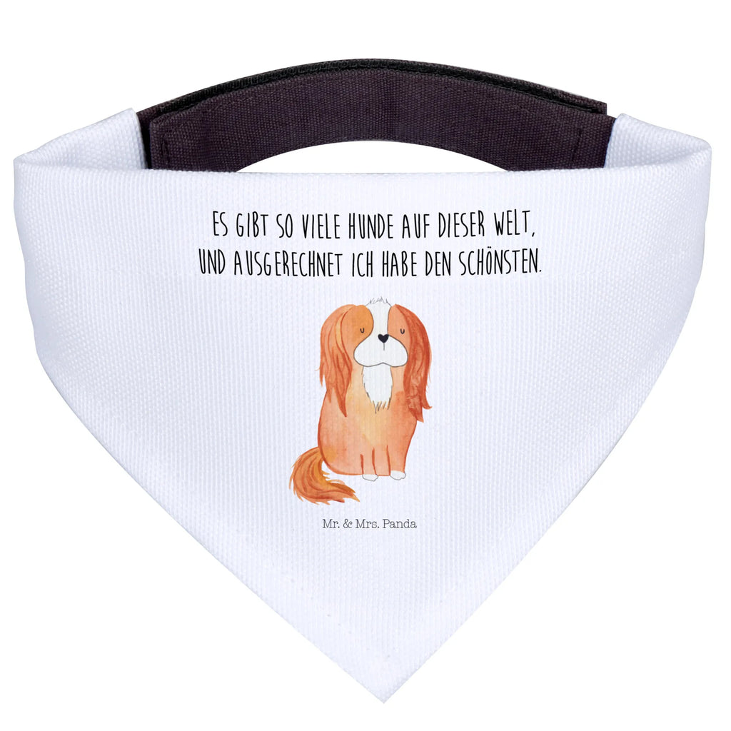 Hundehalstuch Hund Cavalier King Charles Spaniel Mittel, Hundehalstuch, Hunde, Mittelgroße Hunde, Halstuch, Tuch, Tierliebhaber, Hund, Sprüche, Hunderasse, Hundebesitzer, Haustier, Hundemotiv, Spaniel, Cavalier King Charles Spaniel, Spruch, Schönster Hund, Cockerspaniel