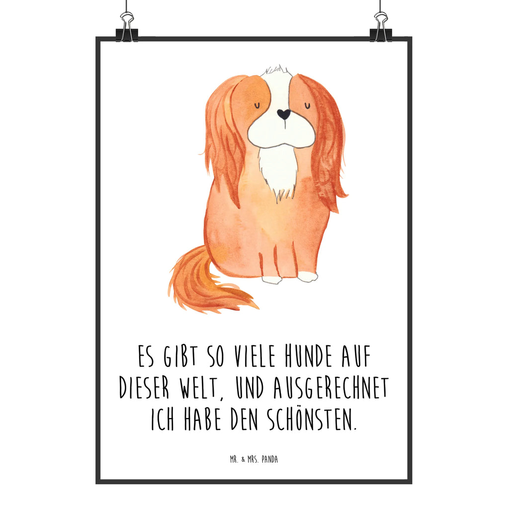 Plakat pies Cavalier King Charles Spaniel grafikposter, wanddruck, Deko Bild, Wandschmuck, kunst für die wand, kunstposter, drucke, Designposter, Wanddekoration, Wanddeko Bild, Kunstdruck, Bild für Wand, kunstdruck poster, Posterdruck, Wandposter, wanddeko, Plakat, Mr. & Mrs. Panda Poster, Bild, wandkunst, Wandbild, Poster, Tierliebhaber, Haustier, Hundemotiv, Hundebesitzer, Hunderasse, Hund, Sprüche, Schönster Hund, Cavalier King Charles Spaniel, Cockerspaniel, Spruch, Spaniel