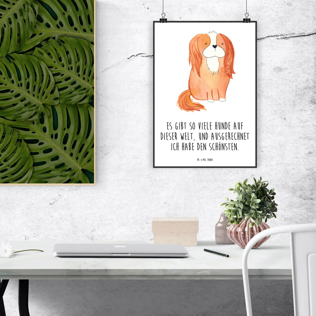 Plakat pies Cavalier King Charles Spaniel grafikposter, wanddruck, Deko Bild, Wandschmuck, kunst für die wand, kunstposter, drucke, Designposter, Wanddekoration, Wanddeko Bild, Kunstdruck, Bild für Wand, kunstdruck poster, Posterdruck, Wandposter, wanddeko, Plakat, Mr. & Mrs. Panda Poster, Bild, wandkunst, Wandbild, Poster, Tierliebhaber, Haustier, Hundemotiv, Hundebesitzer, Hunderasse, Hund, Sprüche, Schönster Hund, Cavalier King Charles Spaniel, Cockerspaniel, Spruch, Spaniel