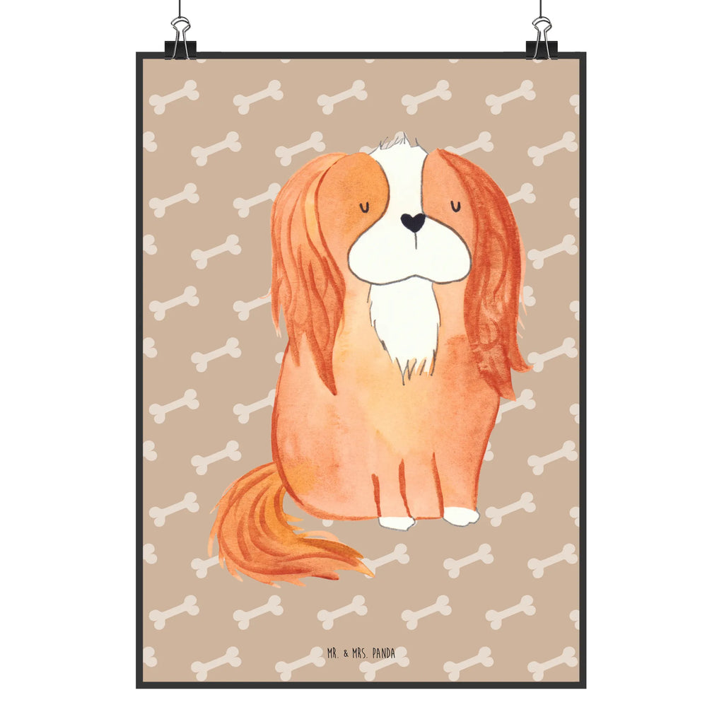 Plakat pies Cavalier King Charles Spaniel grafikposter, wanddruck, Deko Bild, Wandschmuck, kunst für die wand, kunstposter, drucke, Designposter, Wanddekoration, Wanddeko Bild, Kunstdruck, Bild für Wand, kunstdruck poster, Posterdruck, Wandposter, wanddeko, Plakat, Mr. & Mrs. Panda Poster, Bild, wandkunst, Wandbild, Poster, Tierliebhaber, Haustier, Hundemotiv, Hundebesitzer, Hunderasse, Hund, Sprüche, Schönster Hund, Cavalier King Charles Spaniel, Cockerspaniel, Spruch, Spaniel