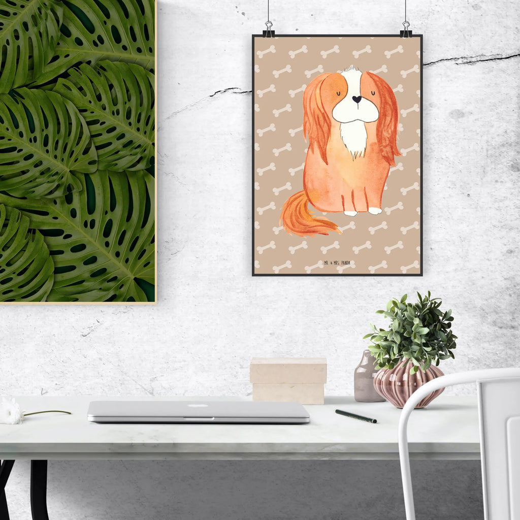 Plakat pies Cavalier King Charles Spaniel grafikposter, wanddruck, Deko Bild, Wandschmuck, kunst für die wand, kunstposter, drucke, Designposter, Wanddekoration, Wanddeko Bild, Kunstdruck, Bild für Wand, kunstdruck poster, Posterdruck, Wandposter, wanddeko, Plakat, Mr. & Mrs. Panda Poster, Bild, wandkunst, Wandbild, Poster, Tierliebhaber, Haustier, Hundemotiv, Hundebesitzer, Hunderasse, Hund, Sprüche, Schönster Hund, Cavalier King Charles Spaniel, Cockerspaniel, Spruch, Spaniel