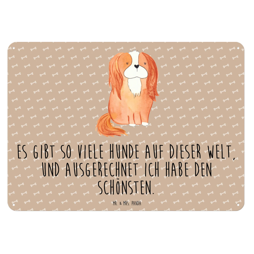 Blechschild Hund Cavalier King Charles Spaniel Blechschild Küche, Blechschild Zum Aufhängen, Türschild Metall, Blechschild Büro, Wandschild Metall, Blechschild Für Männer, Blechschild, Blechschild Groß, Blechschild Für Frauen, Dekoschild Metall, Hund, Sprüche, Hunderasse, Hundebesitzer, Hundemotiv, Haustier, Tierliebhaber, Cockerspaniel, Spaniel, Cavalier King Charles Spaniel, Schönster Hund, Spruch