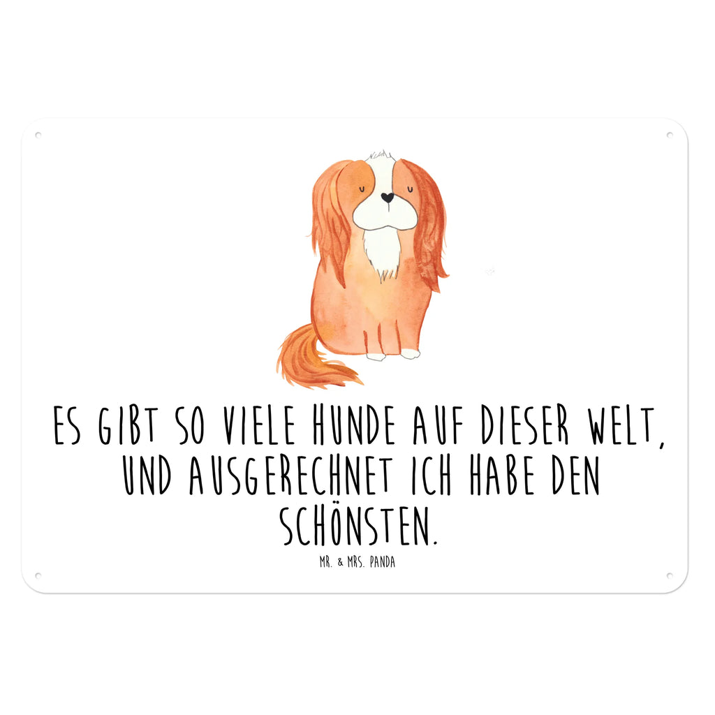 Blechschild Hund Cavalier King Charles Spaniel Blechschild Küche, Blechschild Zum Aufhängen, Türschild Metall, Blechschild Büro, Wandschild Metall, Blechschild Für Männer, Blechschild, Blechschild Groß, Blechschild Für Frauen, Dekoschild Metall, Hund, Sprüche, Hunderasse, Hundebesitzer, Hundemotiv, Haustier, Tierliebhaber, Cockerspaniel, Spaniel, Cavalier King Charles Spaniel, Schönster Hund, Spruch