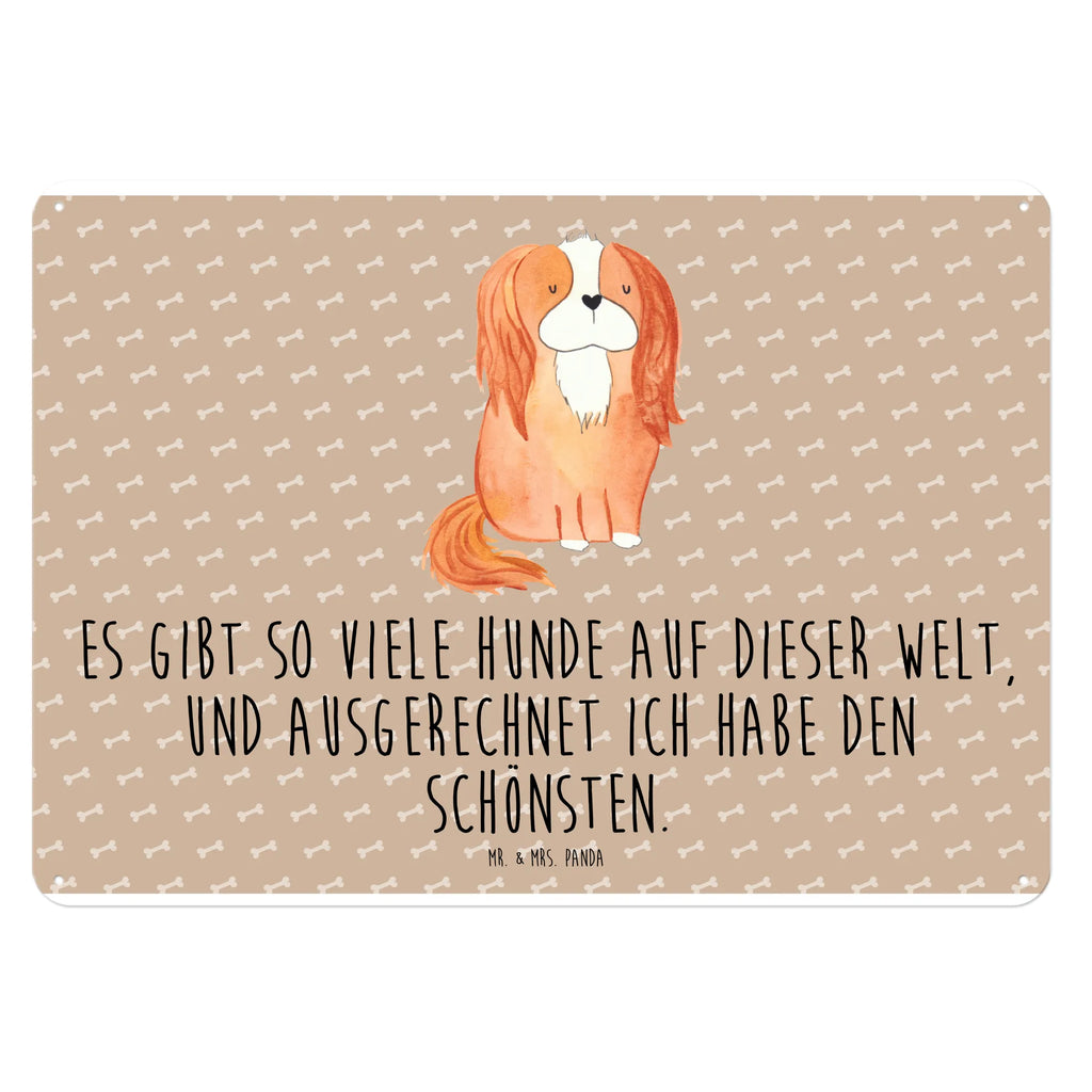 Blechschild Hund Cavalier King Charles Spaniel Blechschild Küche, Blechschild Zum Aufhängen, Türschild Metall, Blechschild Büro, Wandschild Metall, Blechschild Für Männer, Blechschild, Blechschild Groß, Blechschild Für Frauen, Dekoschild Metall, Hund, Sprüche, Hunderasse, Hundebesitzer, Hundemotiv, Haustier, Tierliebhaber, Cockerspaniel, Spaniel, Cavalier King Charles Spaniel, Schönster Hund, Spruch