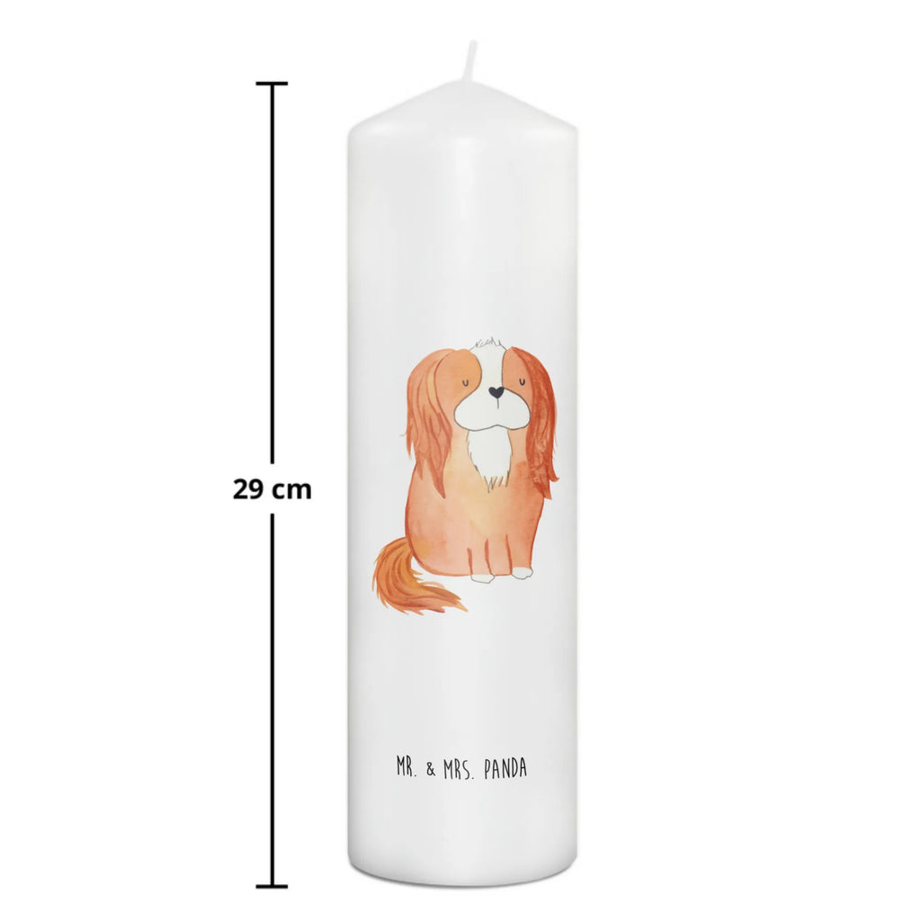świeca pies Cavalier King Charles Spaniel Laternenkerze, Kommunionskerze, Wunschkerze, Dekorative Kerze, Grosse Kerze, Wachskerze, Kerze Mit Spruch, Tischkerze, Dinnerkerze, Schmuckkerze, Dekokerze, Geburtstagskerze, Tafelkerze, Kerze Mit Motiv, Stumpenkerze, Erinnerungslicht, Weihnachtskerze, Handgemachte Kerze, Geburtskerze, Zylinderkerze, Erinnerungskerze, Adventskerze, Blockkerze, Bedruckte Kerze, Gartenkerze, Osterkerze, Hochzeitskerze, Sprüche, Hunderasse, Hundebesitzer, Hundemotiv, Hund, Haustier, Tierliebhaber, Schönster Hund, Cavalier King Charles Spaniel, Spaniel, Spruch, Cockerspaniel