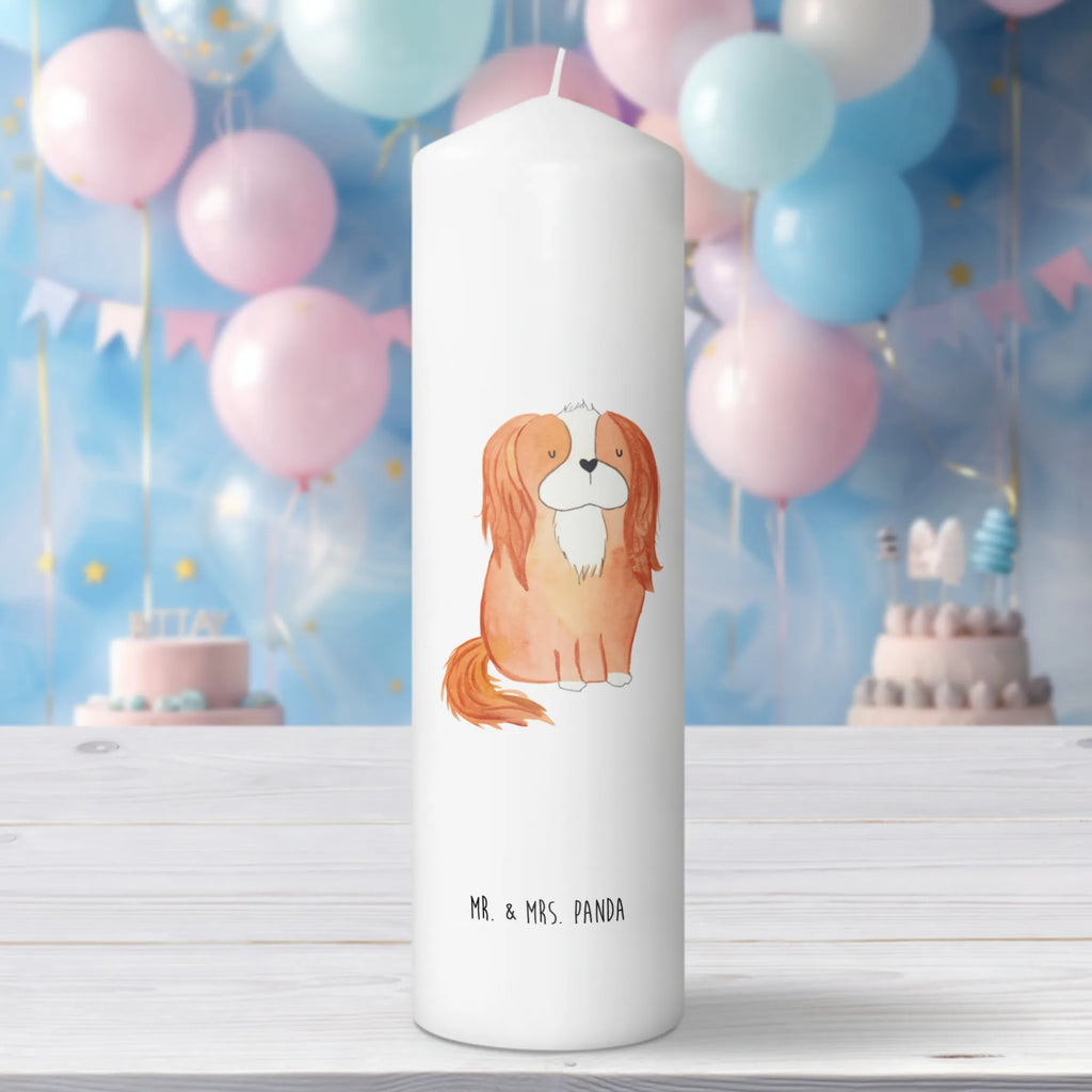 świeca pies Cavalier King Charles Spaniel Laternenkerze, Kommunionskerze, Wunschkerze, Dekorative Kerze, Grosse Kerze, Wachskerze, Kerze Mit Spruch, Tischkerze, Dinnerkerze, Schmuckkerze, Dekokerze, Geburtstagskerze, Tafelkerze, Kerze Mit Motiv, Stumpenkerze, Erinnerungslicht, Weihnachtskerze, Handgemachte Kerze, Geburtskerze, Zylinderkerze, Erinnerungskerze, Adventskerze, Blockkerze, Bedruckte Kerze, Gartenkerze, Osterkerze, Hochzeitskerze, Sprüche, Hunderasse, Hundebesitzer, Hundemotiv, Hund, Haustier, Tierliebhaber, Schönster Hund, Cavalier King Charles Spaniel, Spaniel, Spruch, Cockerspaniel