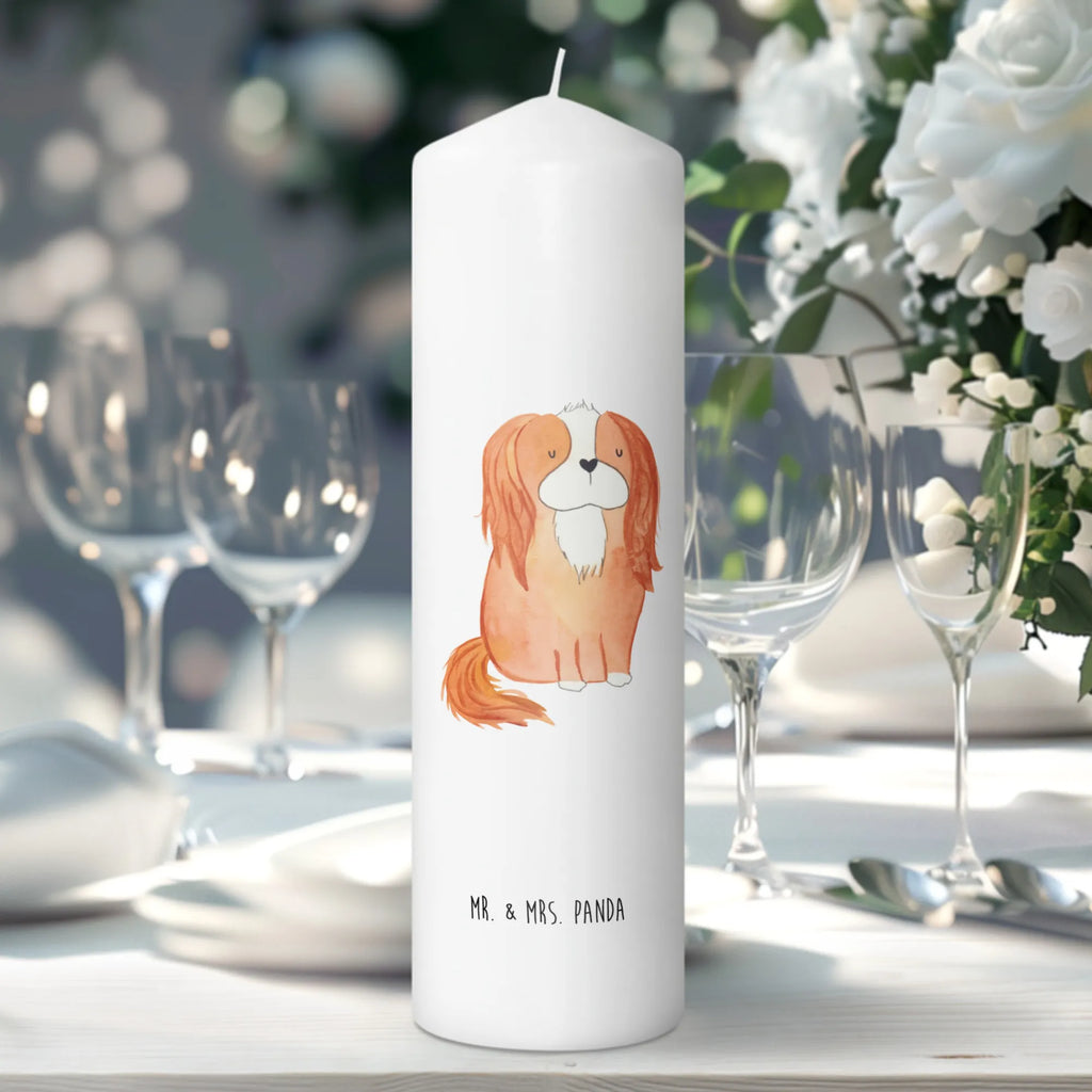 świeca pies Cavalier King Charles Spaniel Laternenkerze, Kommunionskerze, Wunschkerze, Dekorative Kerze, Grosse Kerze, Wachskerze, Kerze Mit Spruch, Tischkerze, Dinnerkerze, Schmuckkerze, Dekokerze, Geburtstagskerze, Tafelkerze, Kerze Mit Motiv, Stumpenkerze, Erinnerungslicht, Weihnachtskerze, Handgemachte Kerze, Geburtskerze, Zylinderkerze, Erinnerungskerze, Adventskerze, Blockkerze, Bedruckte Kerze, Gartenkerze, Osterkerze, Hochzeitskerze, Sprüche, Hunderasse, Hundebesitzer, Hundemotiv, Hund, Haustier, Tierliebhaber, Schönster Hund, Cavalier King Charles Spaniel, Spaniel, Spruch, Cockerspaniel