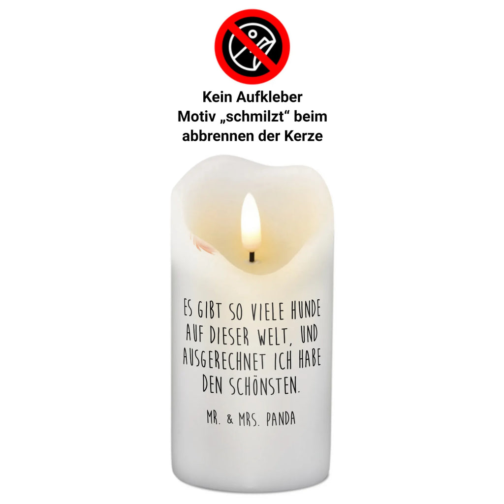 świeca pies Cavalier King Charles Spaniel Laternenkerze, Kommunionskerze, Wunschkerze, Dekorative Kerze, Grosse Kerze, Wachskerze, Kerze Mit Spruch, Tischkerze, Dinnerkerze, Schmuckkerze, Dekokerze, Geburtstagskerze, Tafelkerze, Kerze Mit Motiv, Stumpenkerze, Erinnerungslicht, Weihnachtskerze, Handgemachte Kerze, Geburtskerze, Zylinderkerze, Erinnerungskerze, Adventskerze, Blockkerze, Bedruckte Kerze, Gartenkerze, Osterkerze, Hochzeitskerze, Sprüche, Hunderasse, Hundebesitzer, Hundemotiv, Hund, Haustier, Tierliebhaber, Schönster Hund, Cavalier King Charles Spaniel, Spaniel, Spruch, Cockerspaniel