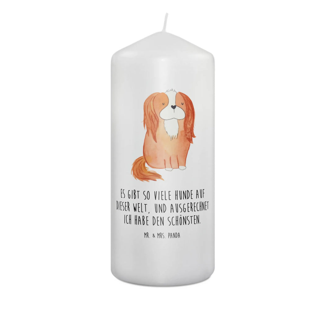świeca pies Cavalier King Charles Spaniel Laternenkerze, Kommunionskerze, Wunschkerze, Dekorative Kerze, Grosse Kerze, Wachskerze, Kerze Mit Spruch, Tischkerze, Dinnerkerze, Schmuckkerze, Dekokerze, Geburtstagskerze, Tafelkerze, Kerze Mit Motiv, Stumpenkerze, Erinnerungslicht, Weihnachtskerze, Handgemachte Kerze, Geburtskerze, Zylinderkerze, Erinnerungskerze, Adventskerze, Blockkerze, Bedruckte Kerze, Gartenkerze, Osterkerze, Hochzeitskerze, Sprüche, Hunderasse, Hundebesitzer, Hundemotiv, Hund, Haustier, Tierliebhaber, Schönster Hund, Cavalier King Charles Spaniel, Spaniel, Spruch, Cockerspaniel