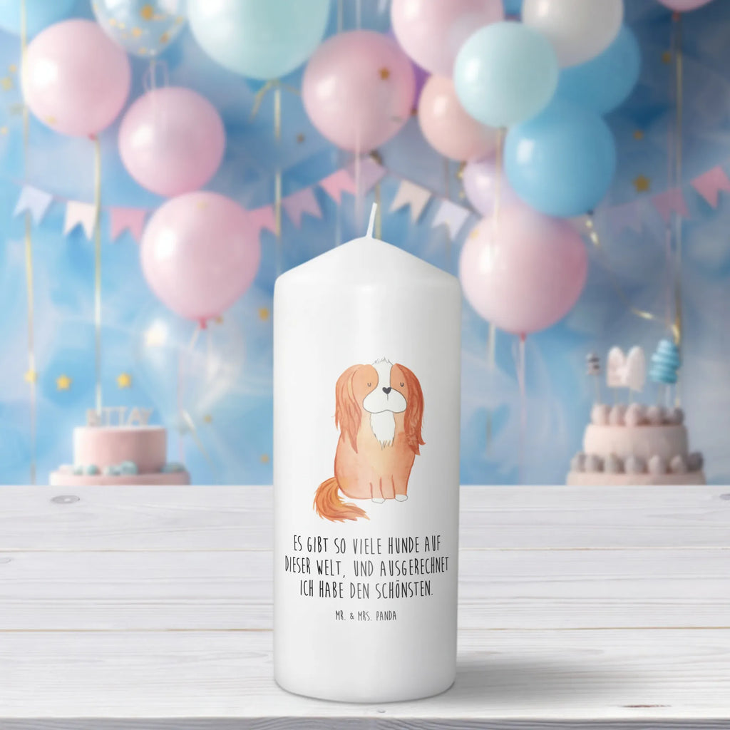 świeca pies Cavalier King Charles Spaniel Laternenkerze, Kommunionskerze, Wunschkerze, Dekorative Kerze, Grosse Kerze, Wachskerze, Kerze Mit Spruch, Tischkerze, Dinnerkerze, Schmuckkerze, Dekokerze, Geburtstagskerze, Tafelkerze, Kerze Mit Motiv, Stumpenkerze, Erinnerungslicht, Weihnachtskerze, Handgemachte Kerze, Geburtskerze, Zylinderkerze, Erinnerungskerze, Adventskerze, Blockkerze, Bedruckte Kerze, Gartenkerze, Osterkerze, Hochzeitskerze, Sprüche, Hunderasse, Hundebesitzer, Hundemotiv, Hund, Haustier, Tierliebhaber, Schönster Hund, Cavalier King Charles Spaniel, Spaniel, Spruch, Cockerspaniel