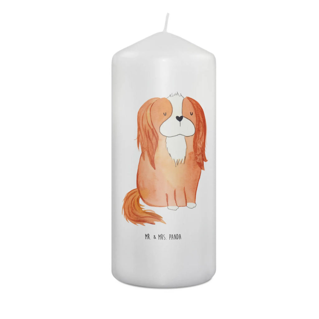 świeca pies Cavalier King Charles Spaniel Laternenkerze, Kommunionskerze, Wunschkerze, Dekorative Kerze, Grosse Kerze, Wachskerze, Kerze Mit Spruch, Tischkerze, Dinnerkerze, Schmuckkerze, Dekokerze, Geburtstagskerze, Tafelkerze, Kerze Mit Motiv, Stumpenkerze, Erinnerungslicht, Weihnachtskerze, Handgemachte Kerze, Geburtskerze, Zylinderkerze, Erinnerungskerze, Adventskerze, Blockkerze, Bedruckte Kerze, Gartenkerze, Osterkerze, Hochzeitskerze, Sprüche, Hunderasse, Hundebesitzer, Hundemotiv, Hund, Haustier, Tierliebhaber, Schönster Hund, Cavalier King Charles Spaniel, Spaniel, Spruch, Cockerspaniel