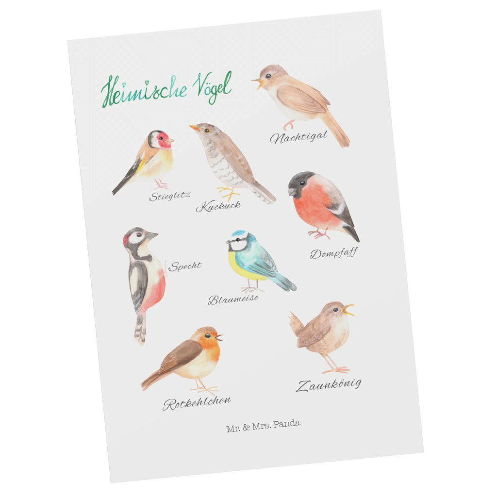 Postcard Native birds card, invitation card, invitation, paper, postcards, gift, Postcard, letter, gift card, Nature, joy of life, love, Native birds, Birds