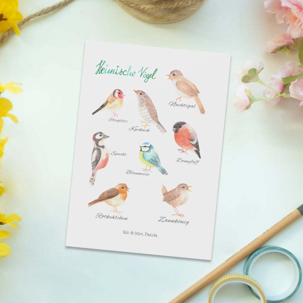 Postcard Native birds card, invitation card, invitation, paper, postcards, gift, Postcard, letter, gift card, Nature, joy of life, love, Native birds, Birds