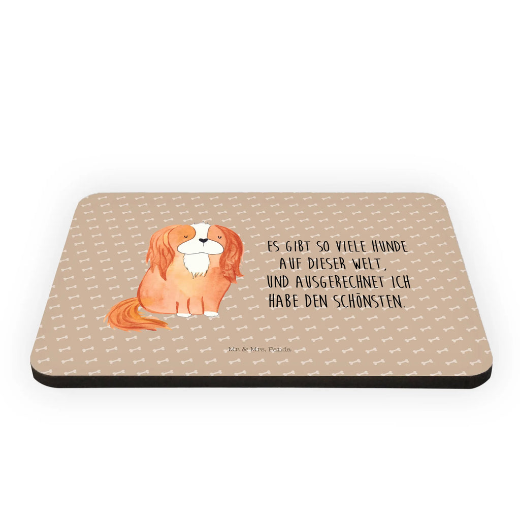Magnes pies Cavalier King Charles Spaniel Fridge Magnet, zettelhalter, wandmagnet, holz kühlschrankmagnet, tafelmagnet, spruchmagnet, Dekomagnet, whiteboardmagnet, Pinnwandmagnet, küchenmagnet, designmagnet, holzmagnet, Notizhalter, haftmagnet, mdf magnet, büromagnet, bildmagnet, notizmagnet, Kühlschrankmagnet, rechteckmagnet, holz whiteboardmagnet, einkaufszettelmagnet, memomagnet, magnet, Hunderasse, Hundebesitzer, Sprüche, Hundemotiv, Haustier, Tierliebhaber, Hund, Spaniel, Cavalier King Charles Spaniel, Spruch, Cockerspaniel, Schönster Hund