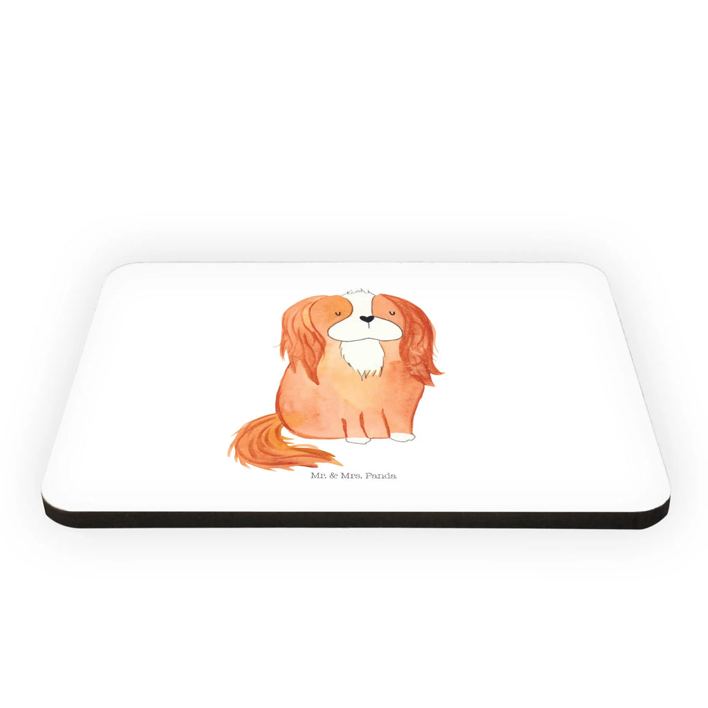 Magnes pies Cavalier King Charles Spaniel Fridge Magnet, zettelhalter, wandmagnet, holz kühlschrankmagnet, tafelmagnet, spruchmagnet, Dekomagnet, whiteboardmagnet, Pinnwandmagnet, küchenmagnet, designmagnet, holzmagnet, Notizhalter, haftmagnet, mdf magnet, büromagnet, bildmagnet, notizmagnet, Kühlschrankmagnet, rechteckmagnet, holz whiteboardmagnet, einkaufszettelmagnet, memomagnet, magnet, Hunderasse, Hundebesitzer, Sprüche, Hundemotiv, Haustier, Tierliebhaber, Hund, Spaniel, Cavalier King Charles Spaniel, Spruch, Cockerspaniel, Schönster Hund