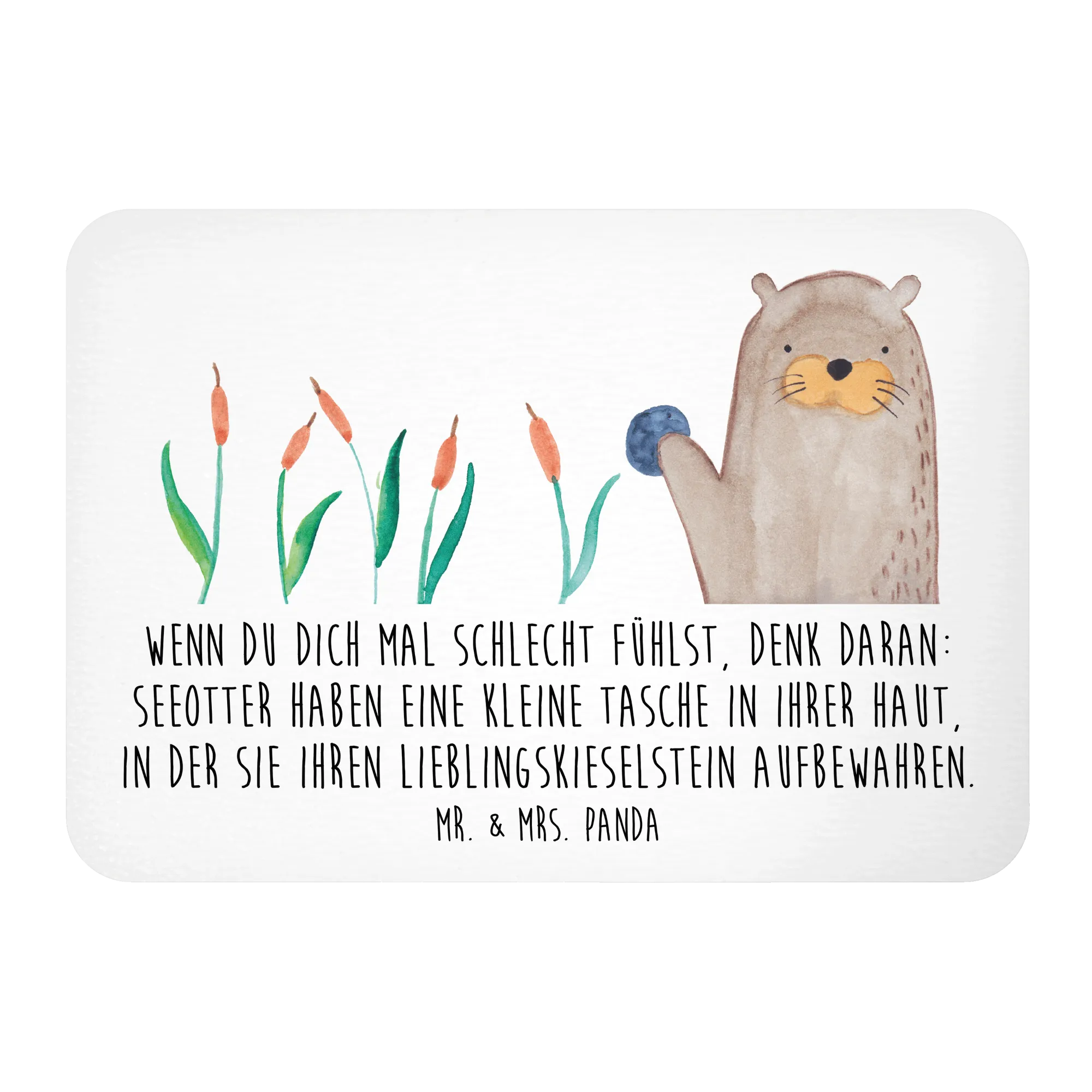 seeotter kieselstein aufbewahren Magnet Otter Stein, Pflanzen, Fun Facts, Kühlschrankmagnet, Seeotter