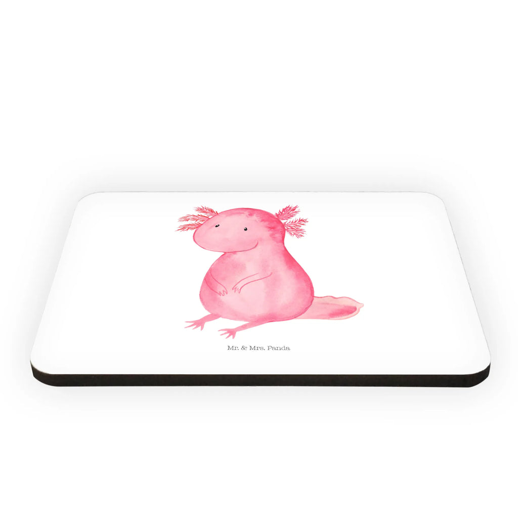 Magnet axolotl zero refrigerator magnet, magnet, refrigerator magnets, magnetic board, calendar magnet, office magnet, Axolotl, Axelotl, marine animals, Mexican walking fish, salamander, Axolot, wisdom, happy, lifestyle, girlfriend, cheerful, love, worldly wisdom, contented