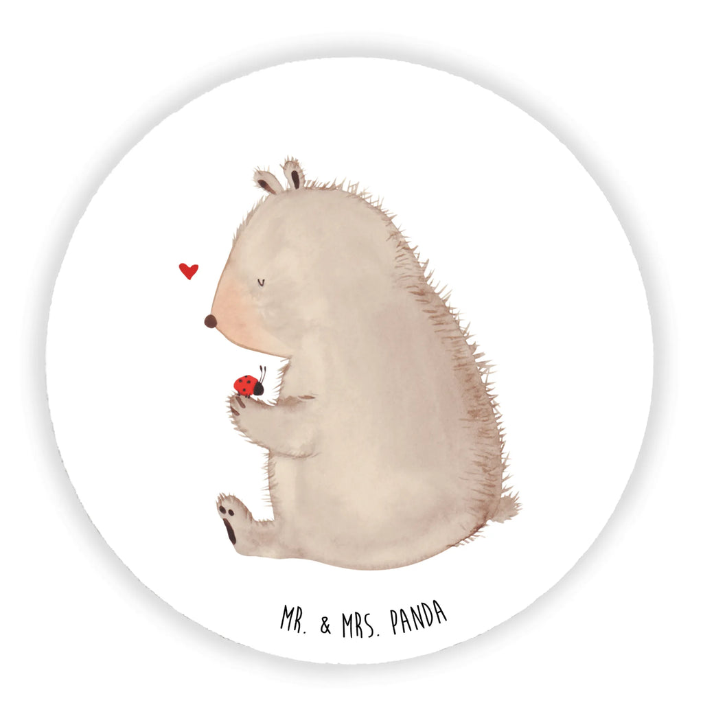 Round magnet bear ladybug office magnet, refrigerator magnets, calendar magnet, magnetic board, refrigerator magnet, magnet, bear, teddy, teddy bear, cuddly toy, love, motivation, freedom, ladybird, life is beautiful